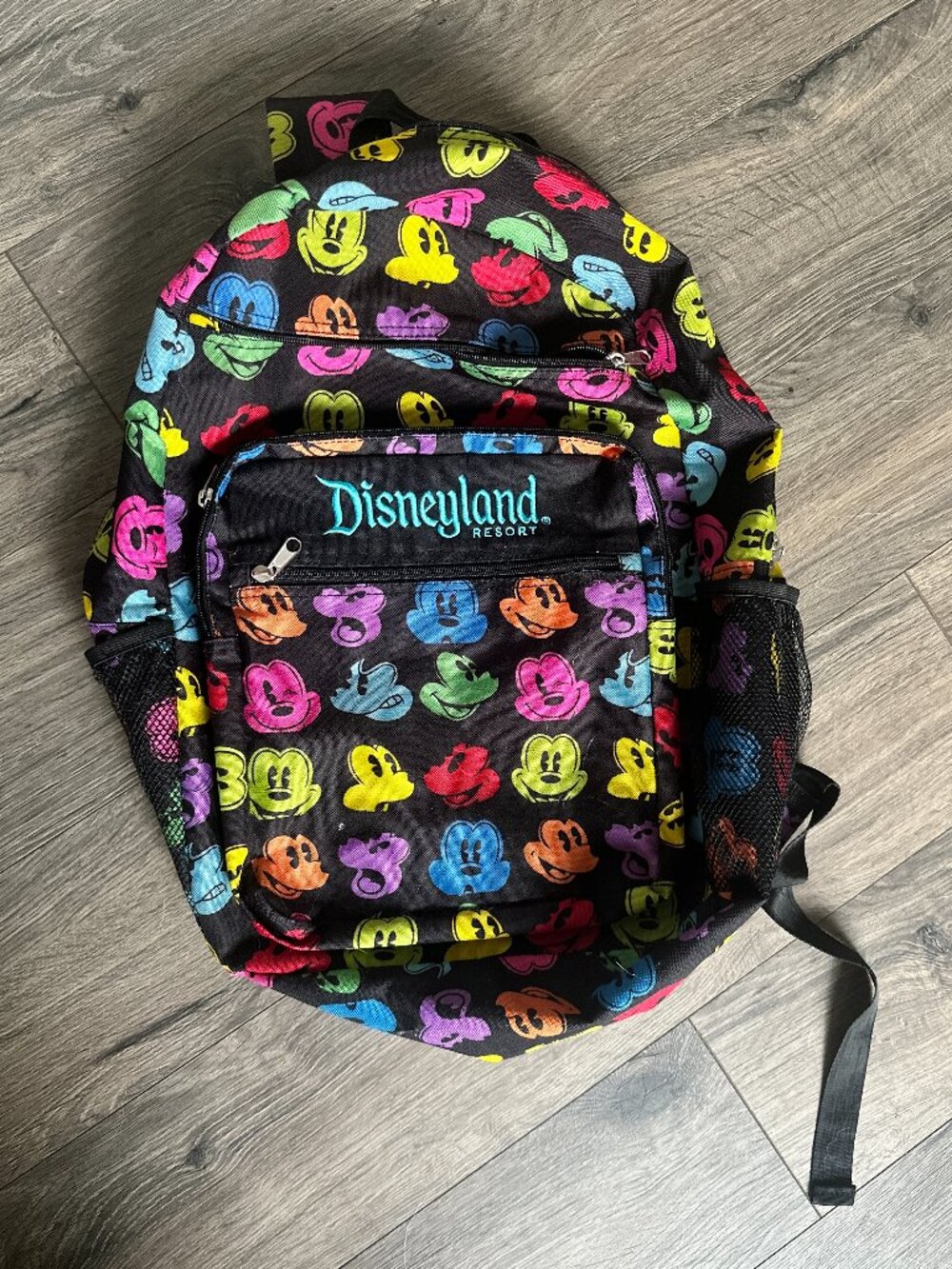 Disneyland Resort Mickey Mouse Faces Backpack Rainbow Embroidered Multicolor Zip